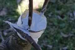 IMG-20210223-WA0013
