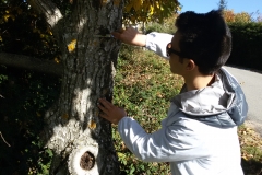 20151107_093146